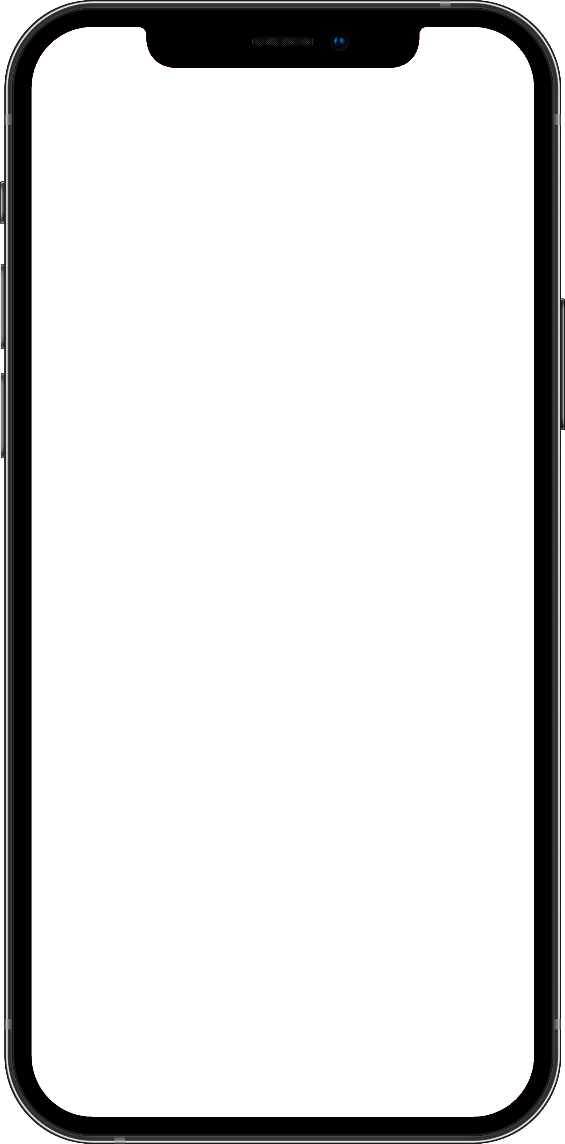 iPhone 12 outline